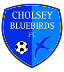 Cholsey Bluebirds
